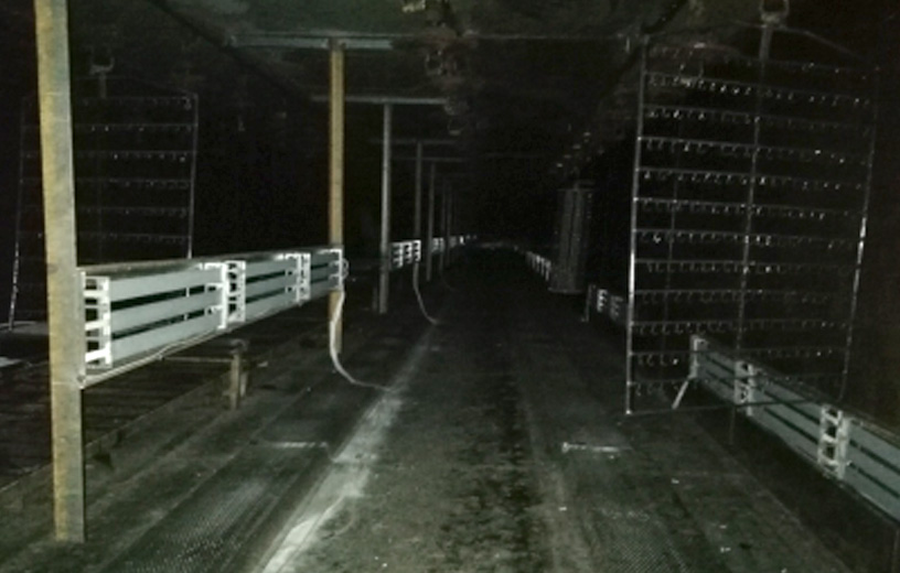 偉星股份（浙江臺(tái)州）石英管隧道爐改造